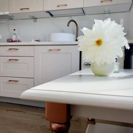 Apartment Gallery Bielefeld